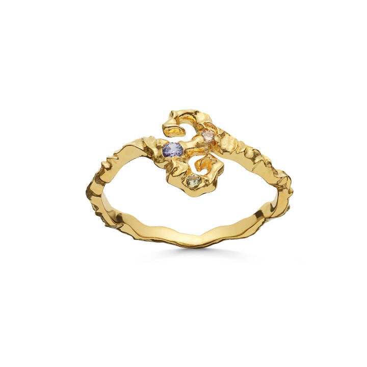 Tenti Ring Gold in the group Rings at SCANDINAVIAN JEWELRY DESIGN (4739A)
