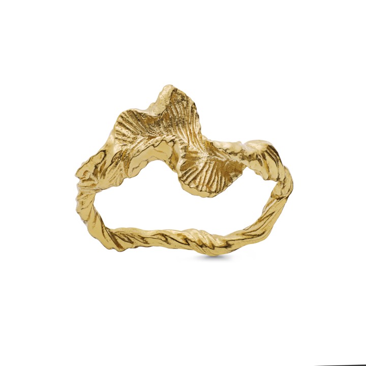 Nino ring (Gold) in the group Rings / Gold Rings at SCANDINAVIAN JEWELRY DESIGN (4756a)