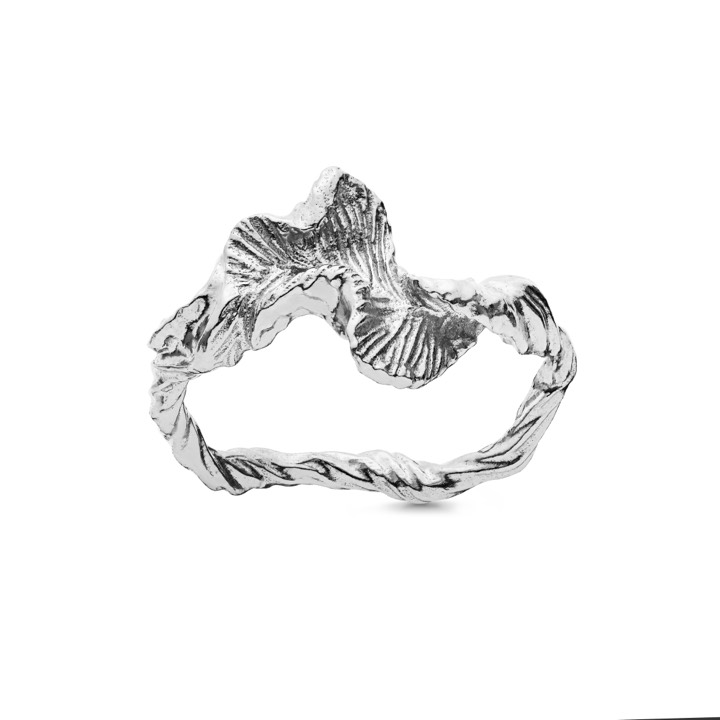 Nino ring (silver) in the group Rings / Silver Rings at SCANDINAVIAN JEWELRY DESIGN (4756c)
