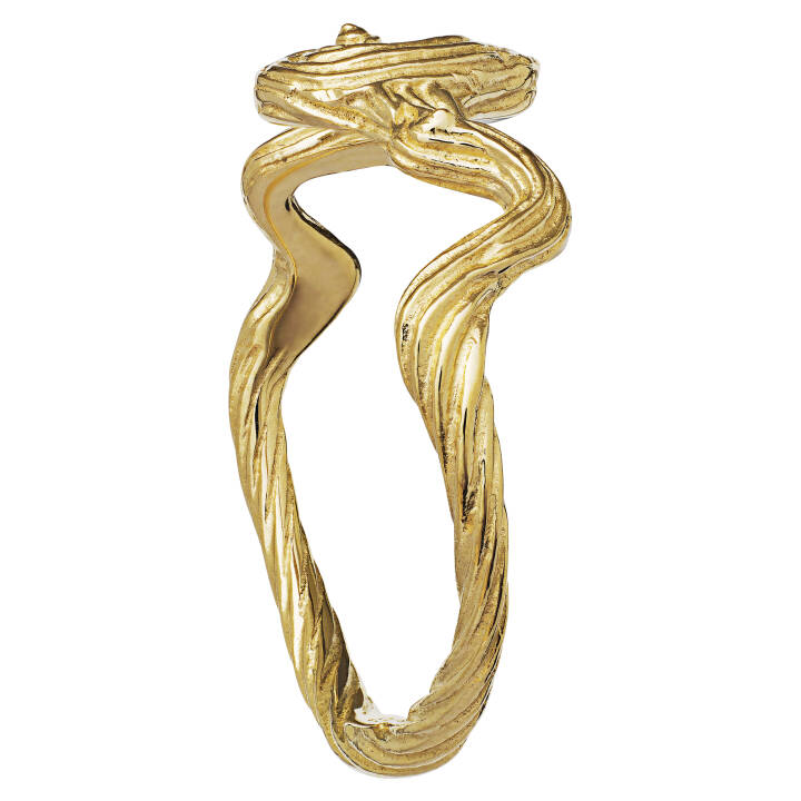 Freya Ring (Gold) in the group Rings / Gold Rings at SCANDINAVIAN JEWELRY DESIGN (4768a)