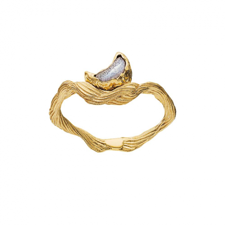 Cordelia Ring (Gold) in the group Rings / Gold Rings at SCANDINAVIAN JEWELRY DESIGN (4773a)