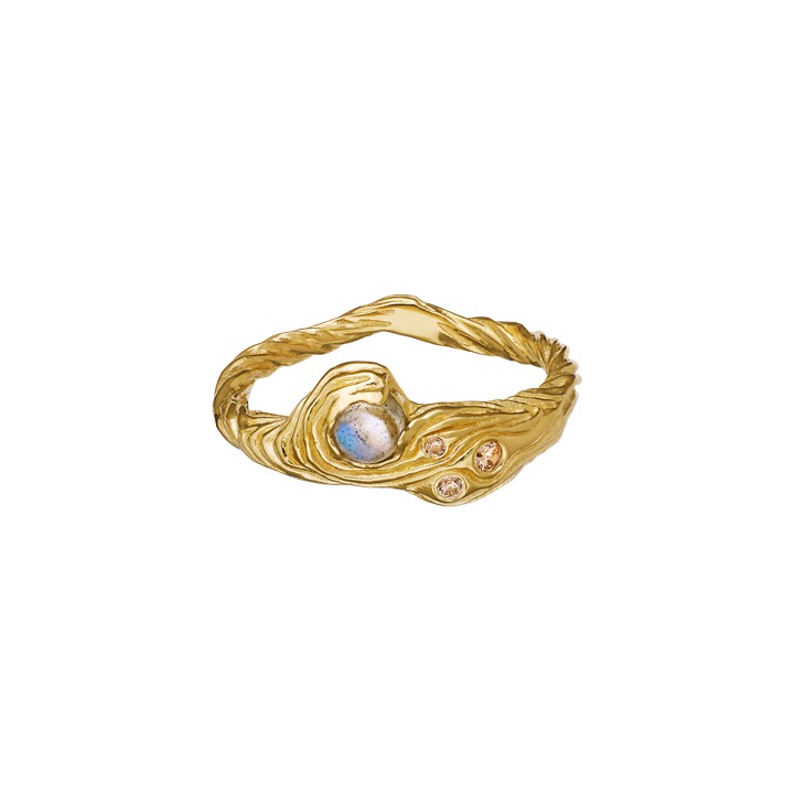 Oceana Ring Gold in the group Rings / Gold Rings at SCANDINAVIAN JEWELRY DESIGN (4774a)