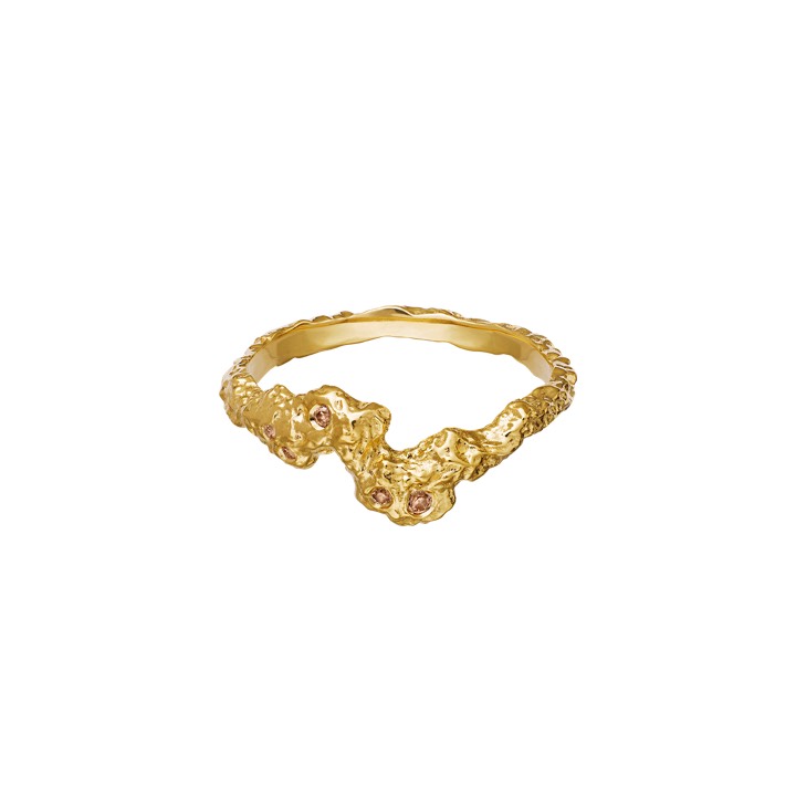 Frida Ring Gold in the group Rings / Gold Rings at SCANDINAVIAN JEWELRY DESIGN (4775a)