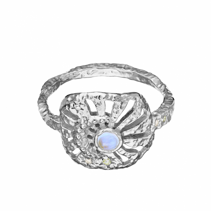 Soluna Ring Silver in the group Rings at SCANDINAVIAN JEWELRY DESIGN (4776C)