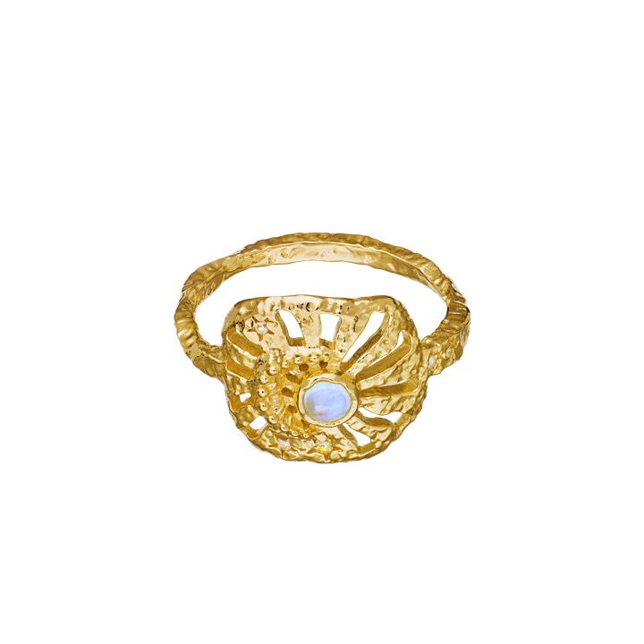 Soluna Ring Gold in the group Rings / Gold Rings at SCANDINAVIAN JEWELRY DESIGN (4776a)