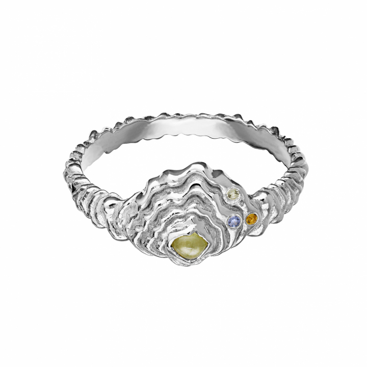 Aia Ring Silver in the group Rings at SCANDINAVIAN JEWELRY DESIGN (4777C)