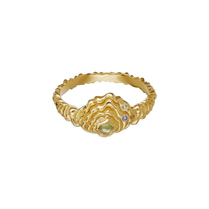 Aia Ring Gold in the group Rings / Gold Rings at SCANDINAVIAN JEWELRY DESIGN (4777a)