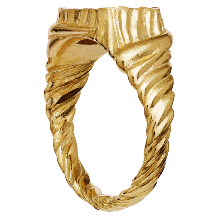 Kim Ring Gold in the group Rings / Silver Rings at SCANDINAVIAN JEWELRY DESIGN (4788a)