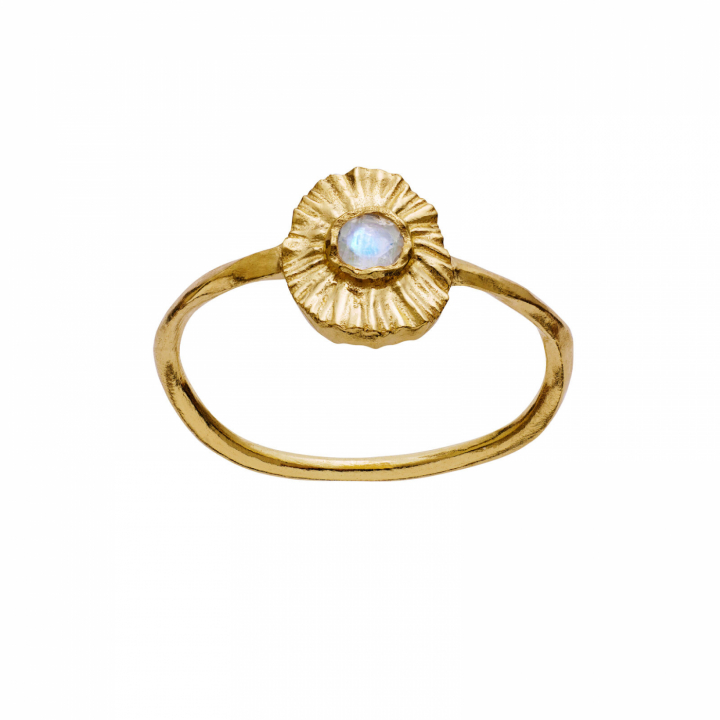 Elin Ring Gold in the group Rings / Silver Rings at SCANDINAVIAN JEWELRY DESIGN (4790a)