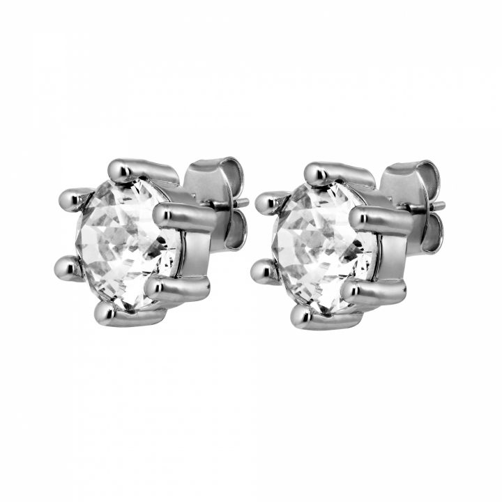 CRAZE SS CRYSTAL Earrings Silver in the group Earrings / Silver Earrings at SCANDINAVIAN JEWELRY DESIGN (480070)