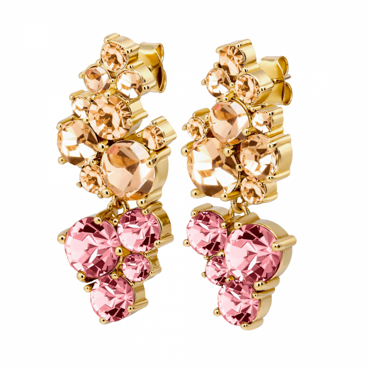 MARIGOLD SG ROSE Earrings Gold in the group Earrings / Gold Earrings at SCANDINAVIAN JEWELRY DESIGN (480170)