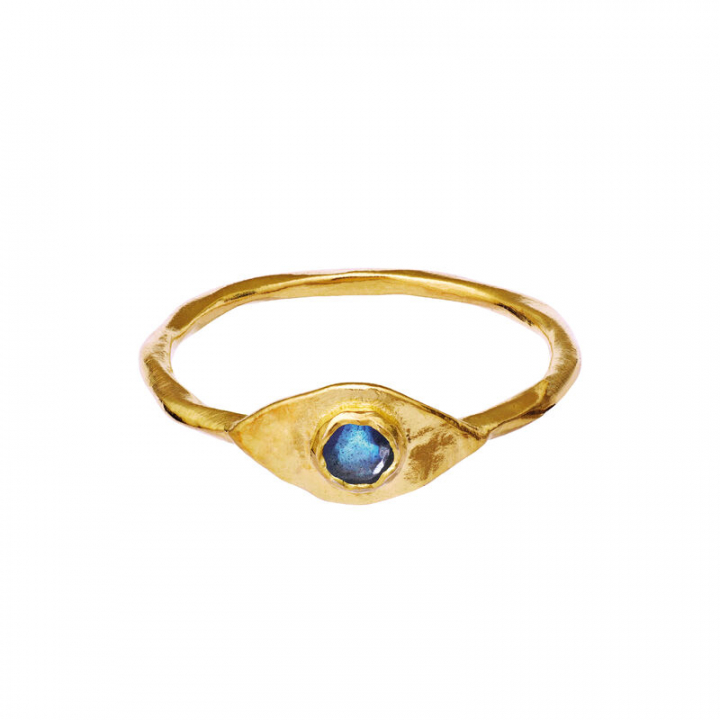 Argos Ring Gold in the group Rings / Gold Rings at SCANDINAVIAN JEWELRY DESIGN (4809A)