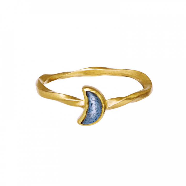 Doris Ring Gold in the group Rings / Gold Rings at SCANDINAVIAN JEWELRY DESIGN (4810A)