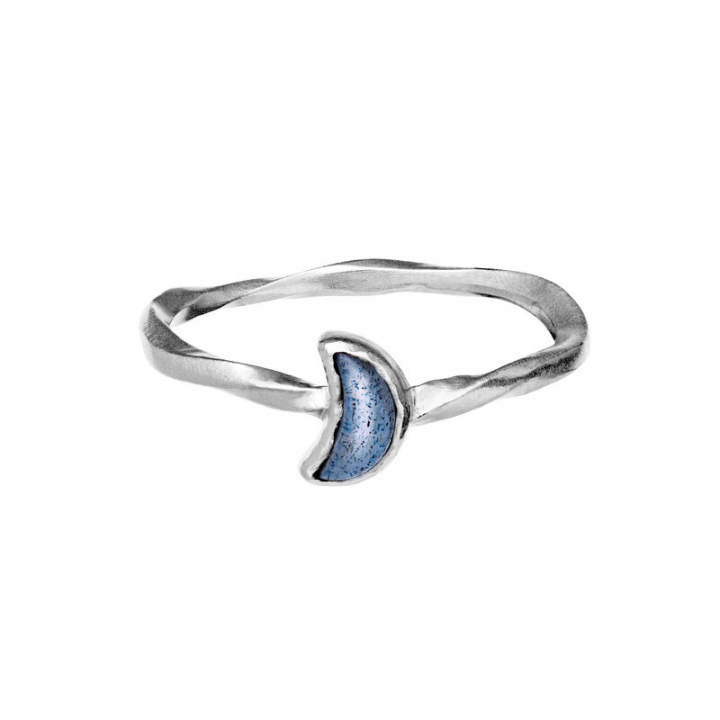 Doris Ring Silver in the group Rings / Silver Rings at SCANDINAVIAN JEWELRY DESIGN (4810C)