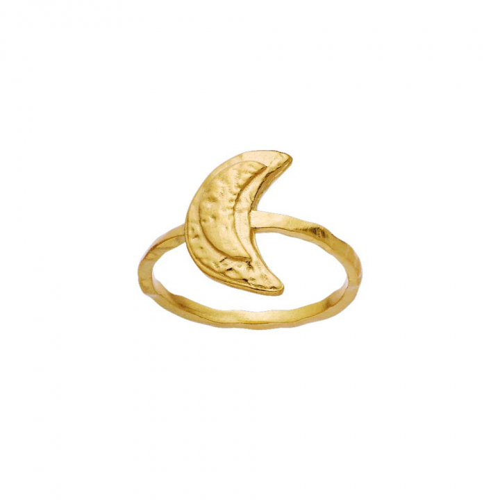 Jacinta Ring Gold in the group Rings / Gold Rings at SCANDINAVIAN JEWELRY DESIGN (4811A)