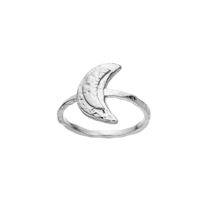 Jacinta Ring Silver in the group Rings / Silver Rings at SCANDINAVIAN JEWELRY DESIGN (4811C)