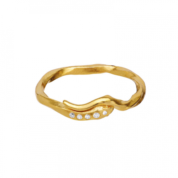 Hera Ring Gold in the group Rings / Gold Rings at SCANDINAVIAN JEWELRY DESIGN (4814A)