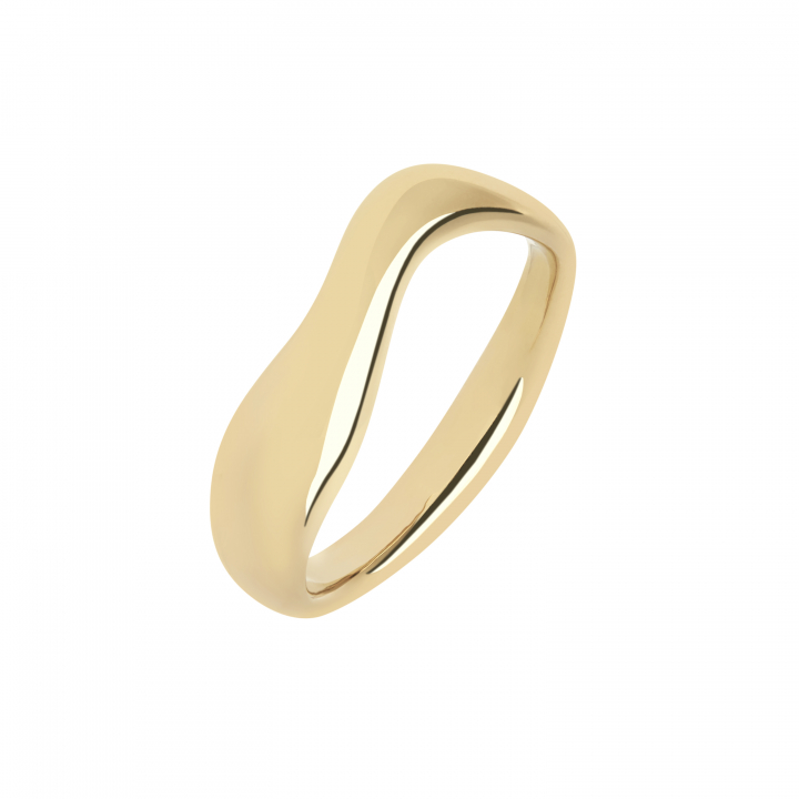 Vayu Ring Goldplated Silver in the group Rings / Gold Rings at SCANDINAVIAN JEWELRY DESIGN (500417YG)