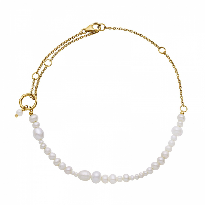 Penelope Anklet Gold in the group Accessories / Anklet at SCANDINAVIAN JEWELRY DESIGN (8413a)