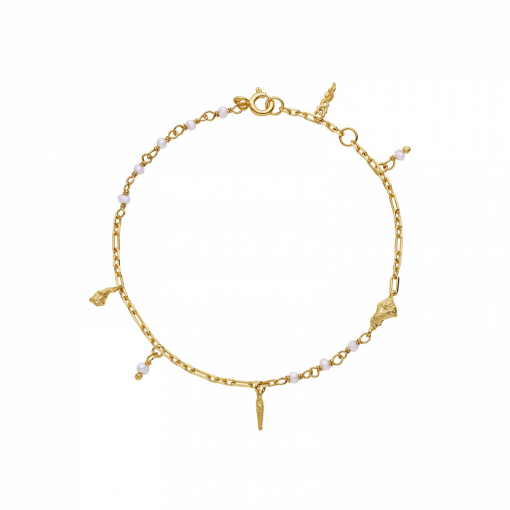 Taja Bracelets Gold in the group Bracelets / Gold Bracelets at SCANDINAVIAN JEWELRY DESIGN (8582a)