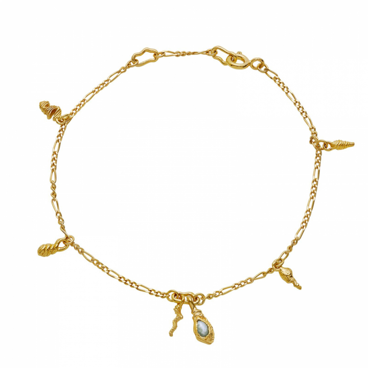 Moira Bracelets Gold in the group Bracelets / Gold Bracelets at SCANDINAVIAN JEWELRY DESIGN (8583a)