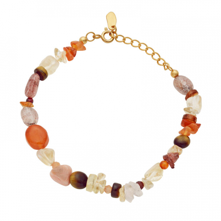 Pheonix Element Bracelets Gold in the group Bracelets / Gold Bracelets at SCANDINAVIAN JEWELRY DESIGN (8604A)
