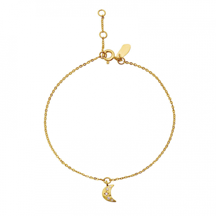 Celestia Bracelets Gold in the group Bracelets / Gold Bracelets at SCANDINAVIAN JEWELRY DESIGN (8618A)