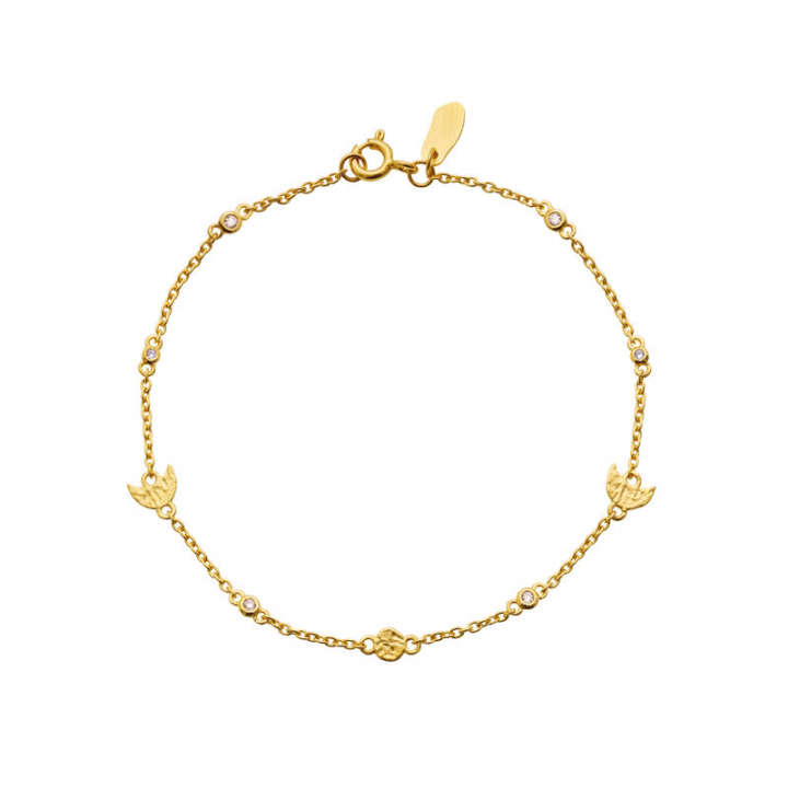 Cecilia Bracelets Gold in the group Bracelets / Gold Bracelets at SCANDINAVIAN JEWELRY DESIGN (8619A)