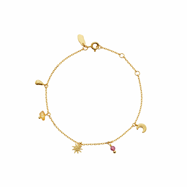 Addison Bracelet Gold in the group Bracelets / Gold Bracelets at SCANDINAVIAN JEWELRY DESIGN (8686A)