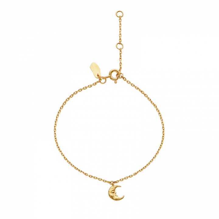 Laura Bracelet Gold in the group Bracelets / Gold Bracelets at SCANDINAVIAN JEWELRY DESIGN (8689A)