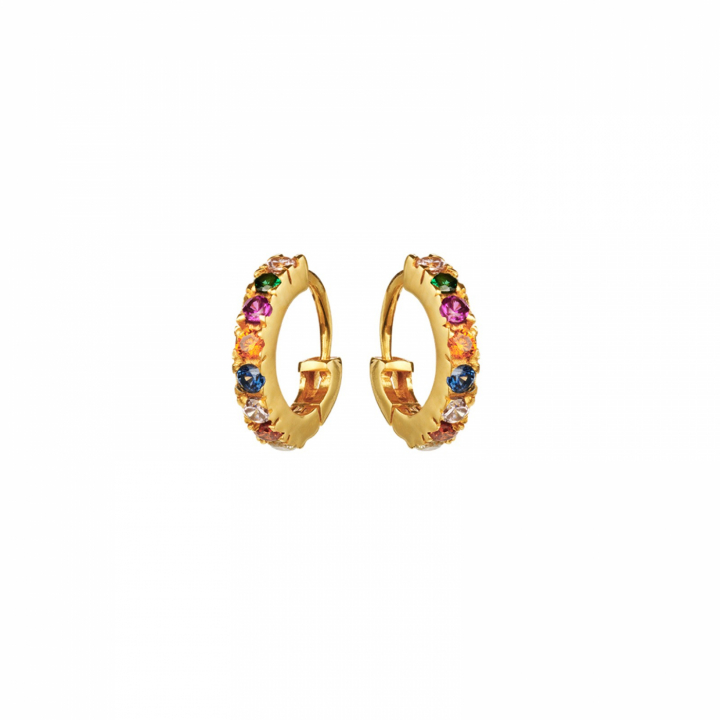 Nubia Color Earring (Gold) in the group Earrings / Gold Earrings at SCANDINAVIAN JEWELRY DESIGN (9337a)