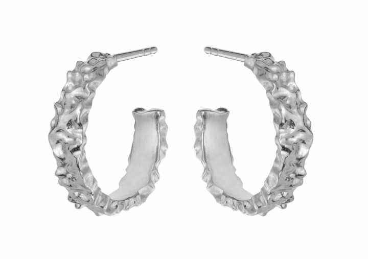 Aio Petite Earring Silver in the group Earrings / Silver Earrings at SCANDINAVIAN JEWELRY DESIGN (9565C)