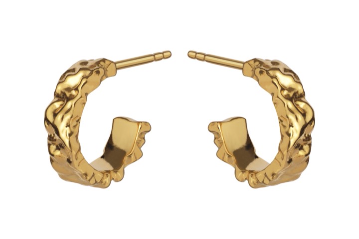 Aio Petite Earring (Gold) in the group Earrings / Gold Earrings at SCANDINAVIAN JEWELRY DESIGN (9565a)