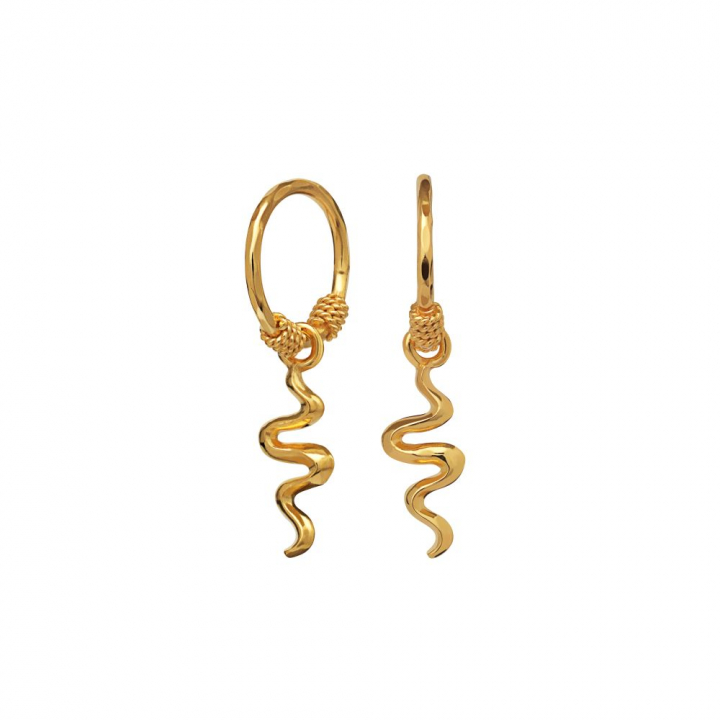 Aryah Earring Gold in the group Earrings / Gold Earrings at SCANDINAVIAN JEWELRY DESIGN (9579A)