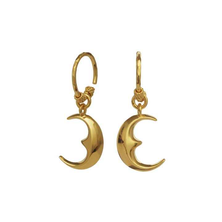 Moonie Earring (Gold) in the group Earrings / Gold Earrings at SCANDINAVIAN JEWELRY DESIGN (9589a)