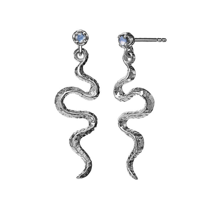Lucy Earring in the group Earrings at SCANDINAVIAN JEWELRY DESIGN (9605C)