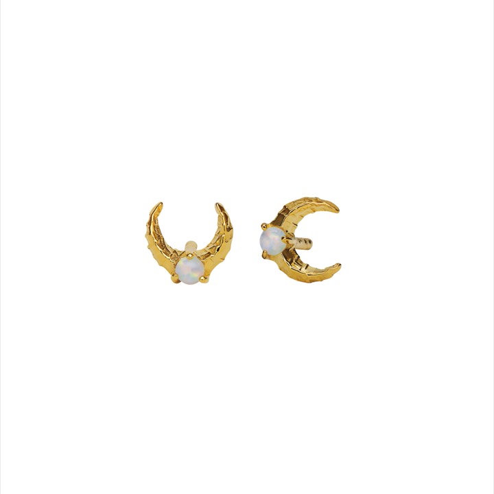 Nynette Earring (Gold) in the group Earrings / Gold Earrings at SCANDINAVIAN JEWELRY DESIGN (9618a)