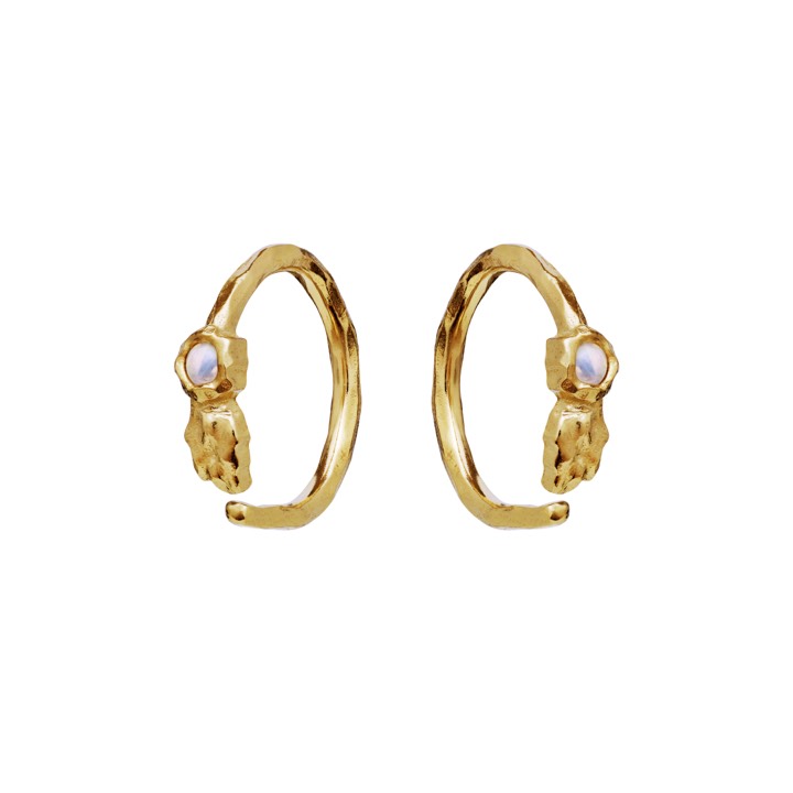 Florus Earring (Gold) in the group Earrings / Gold Earrings at SCANDINAVIAN JEWELRY DESIGN (9659a)