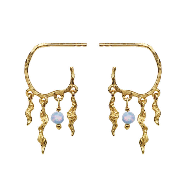 Bayou Earring Gold in the group Earrings / Gold Earrings at SCANDINAVIAN JEWELRY DESIGN (9664A)