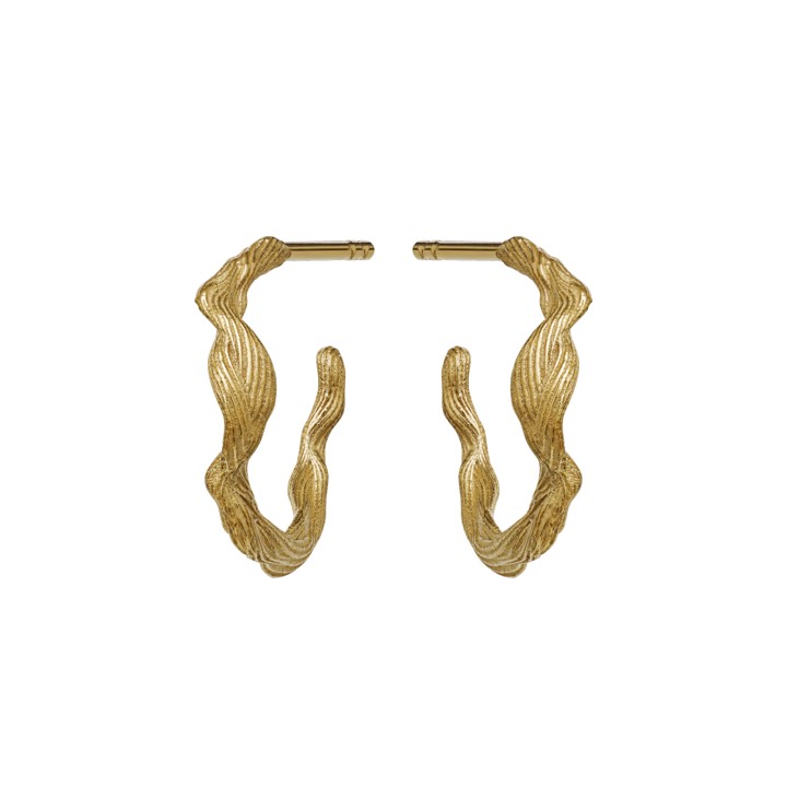 Ara Earring (Gold) in the group Earrings / Gold Earrings at SCANDINAVIAN JEWELRY DESIGN (9696a)