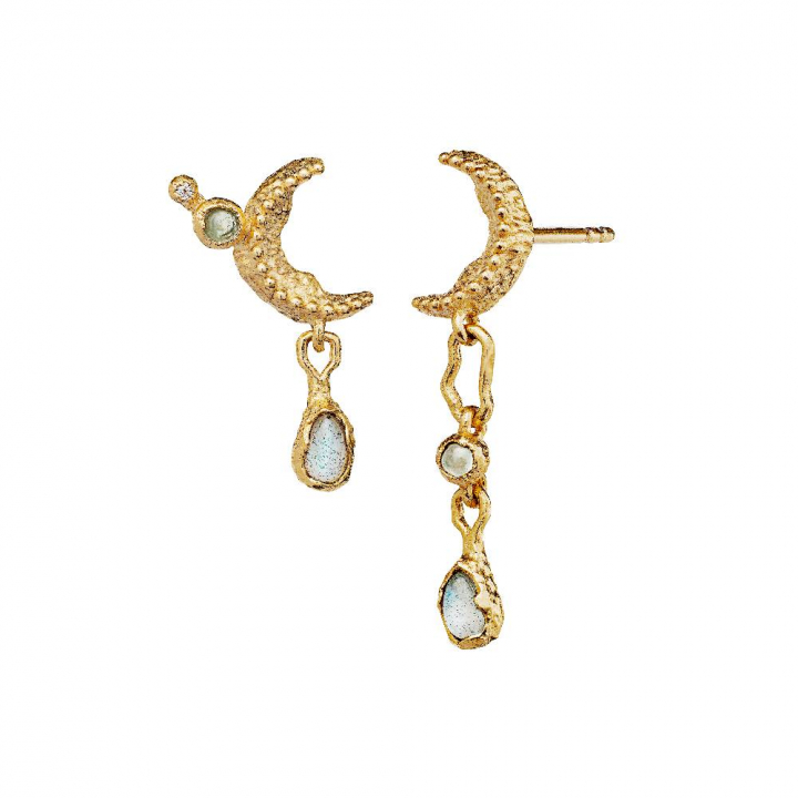 Elara Earring (Gold) in the group Earrings / Gold Earrings at SCANDINAVIAN JEWELRY DESIGN (9733a)