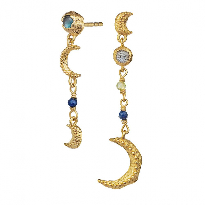 Pheobe Earring (Gold) in the group Earrings / Gold Earrings at SCANDINAVIAN JEWELRY DESIGN (9735a)