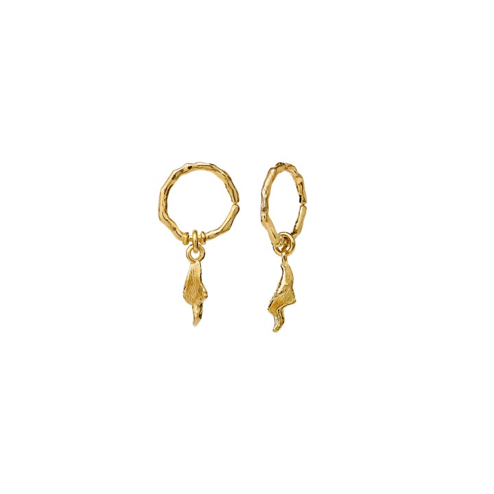 Laika Earring Gold in the group Earrings / Gold Earrings at SCANDINAVIAN JEWELRY DESIGN (9739a)