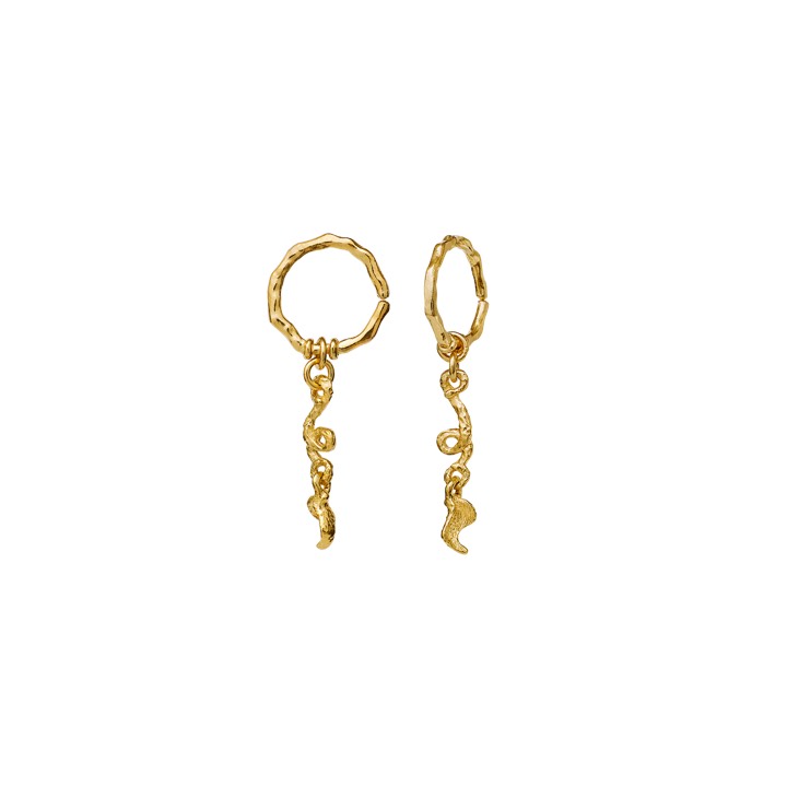 Crawda Earring Gold in the group Earrings / Gold Earrings at SCANDINAVIAN JEWELRY DESIGN (9741a)