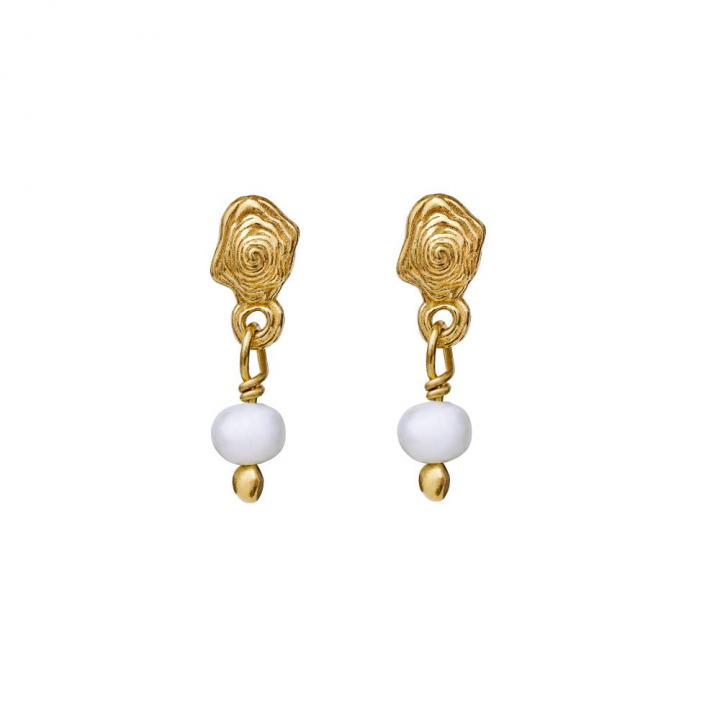 Pippa Earring Gold in the group Earrings / Pearl Earrings at SCANDINAVIAN JEWELRY DESIGN (9753A)