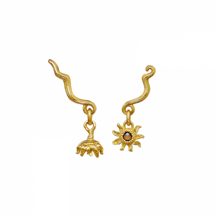 Manni Earring Gold in the group Earrings / Gold Earrings at SCANDINAVIAN JEWELRY DESIGN (9762a)