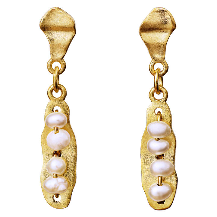 Mai Earring Gold in the group Earrings / Pearl Earrings at SCANDINAVIAN JEWELRY DESIGN (9771a)