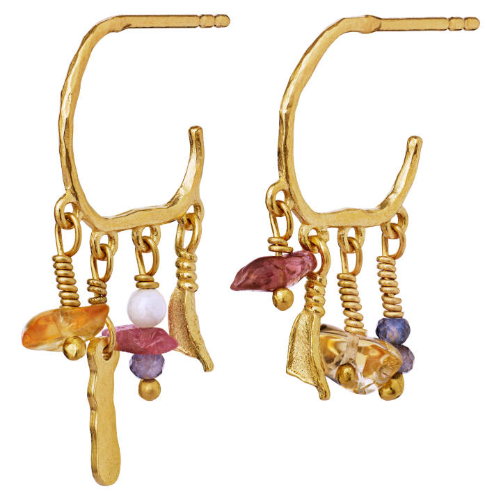 Zoe Earring Gold in the group Earrings / Gold Earrings at SCANDINAVIAN JEWELRY DESIGN (9773a)