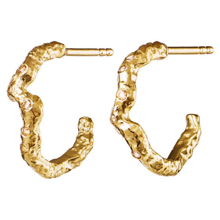 Janine medi Earring Gold in the group Earrings / Gold Earrings at SCANDINAVIAN JEWELRY DESIGN (9788a)