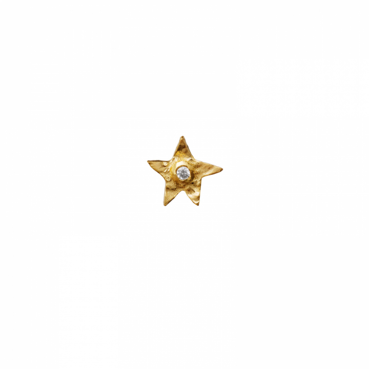 Polaris Earring Gold in the group Earrings / Gold Earrings at SCANDINAVIAN JEWELRY DESIGN (9794a)